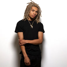 Load image into Gallery viewer, The Gold Flying Lion King
